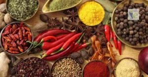 Spices | Insights Care