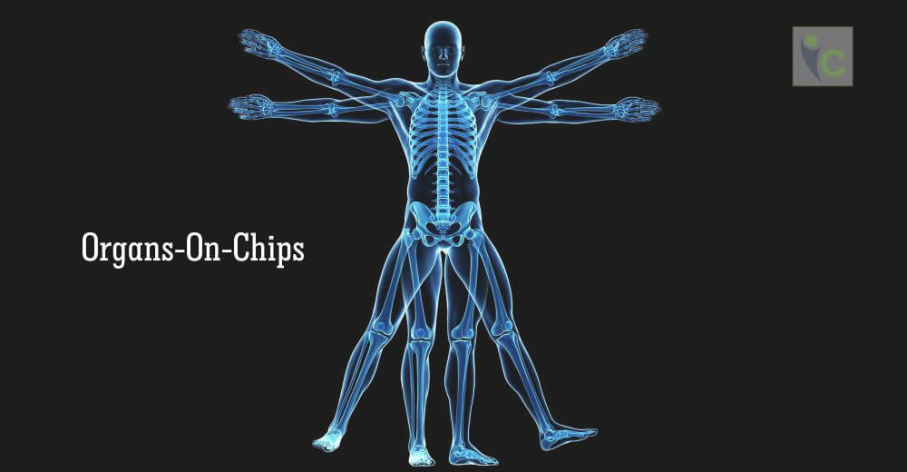 Organs On Chips | Drug-testing | Insights Care