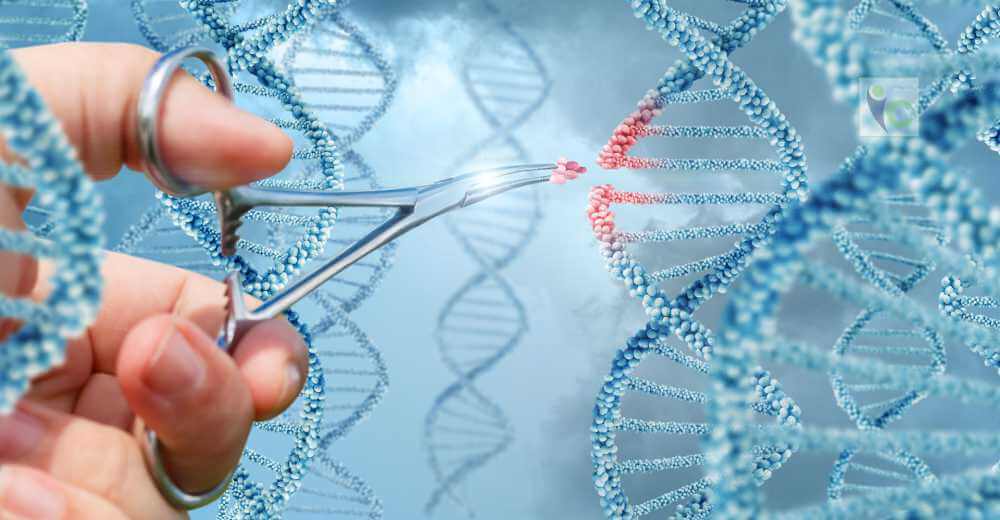 Decoding DNA to Unveil Precision Medicine | Insights Care