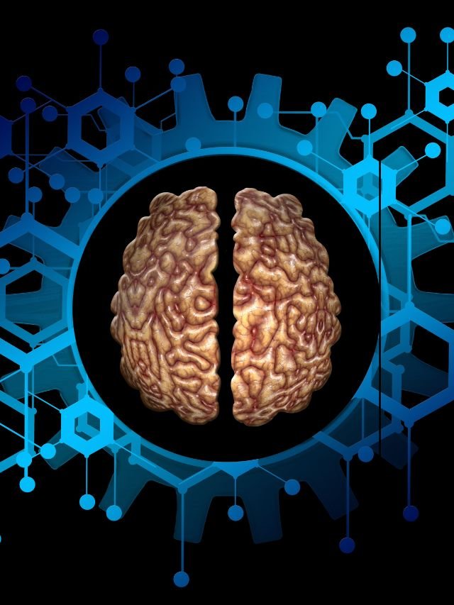 brain