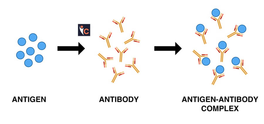 Neoantigen Vaccines