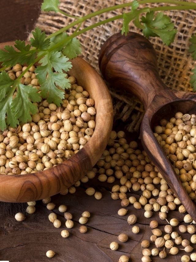 Coriander Seeds benefits